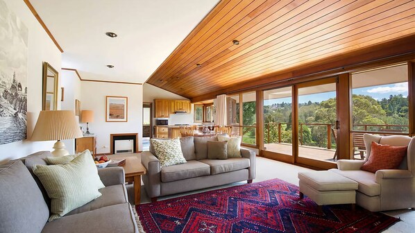 Smart TV, fireplace, DVD player, books