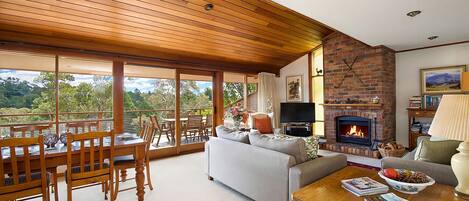 تلفزيون ذكي، مدفأة، مشغل دي في دي، كُتُب