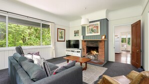 Smart TV, fireplace, books