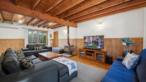 Smart TV, chimenea, reproductor de DVD y libros 