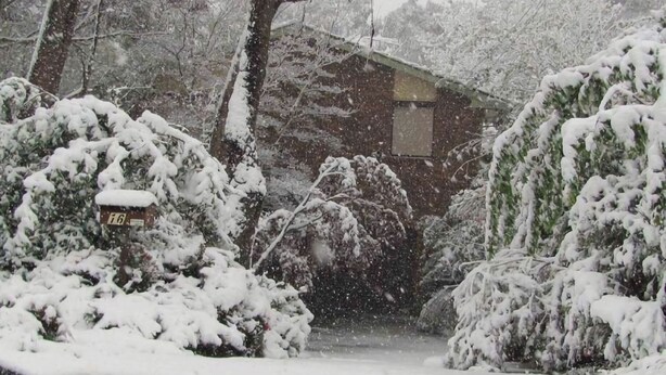 Paisaje nevado con una cabaña de madera y árboles densos.