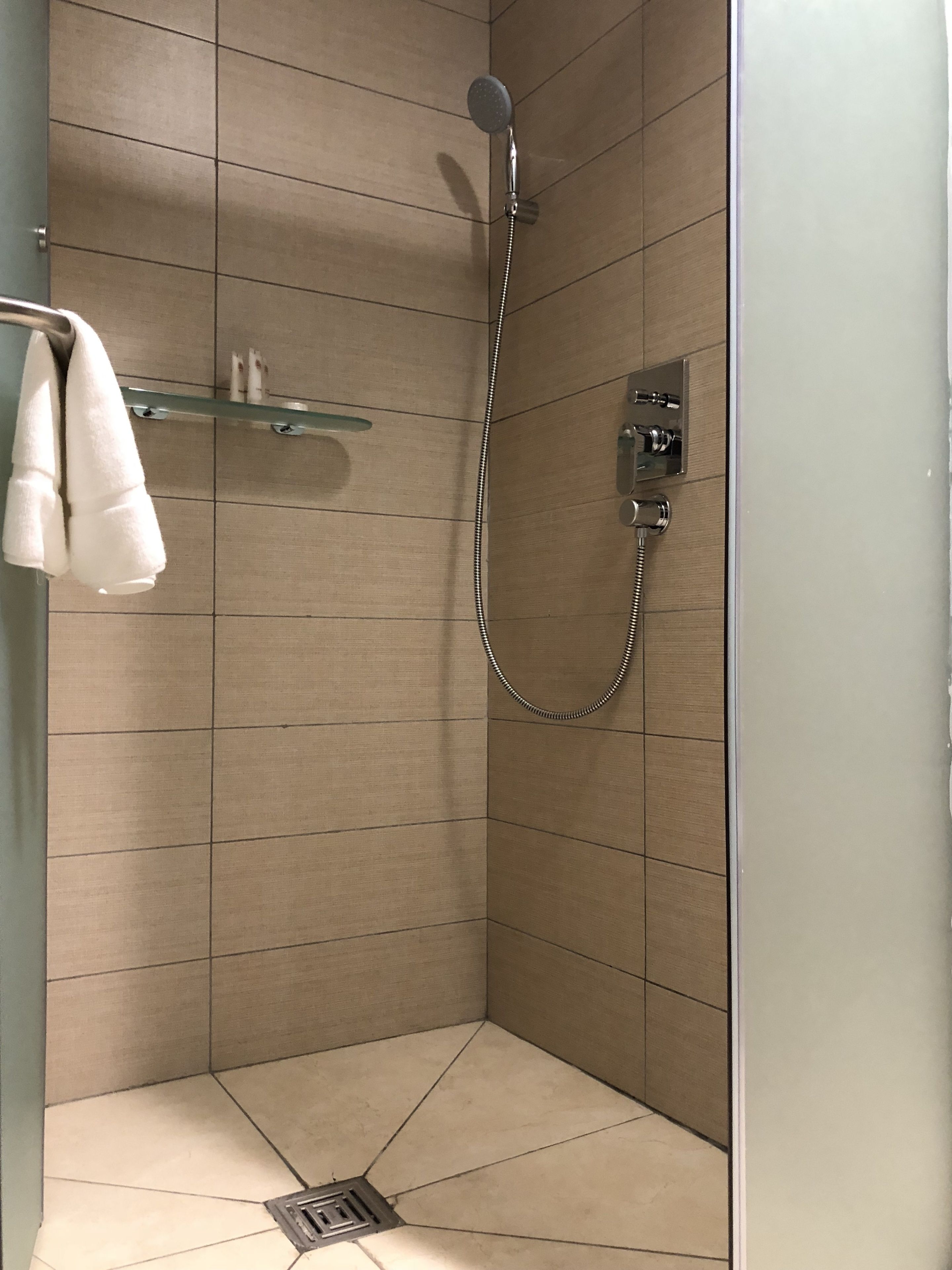 Eine Dusche mit Duschbrause und Wandarmatur. Ein Handtuchhalter mit einem weißen Handtuch.