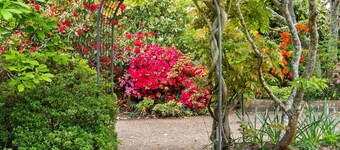 Lynwood Gardens | Close to bush walks and Golf with 2 bathrooms