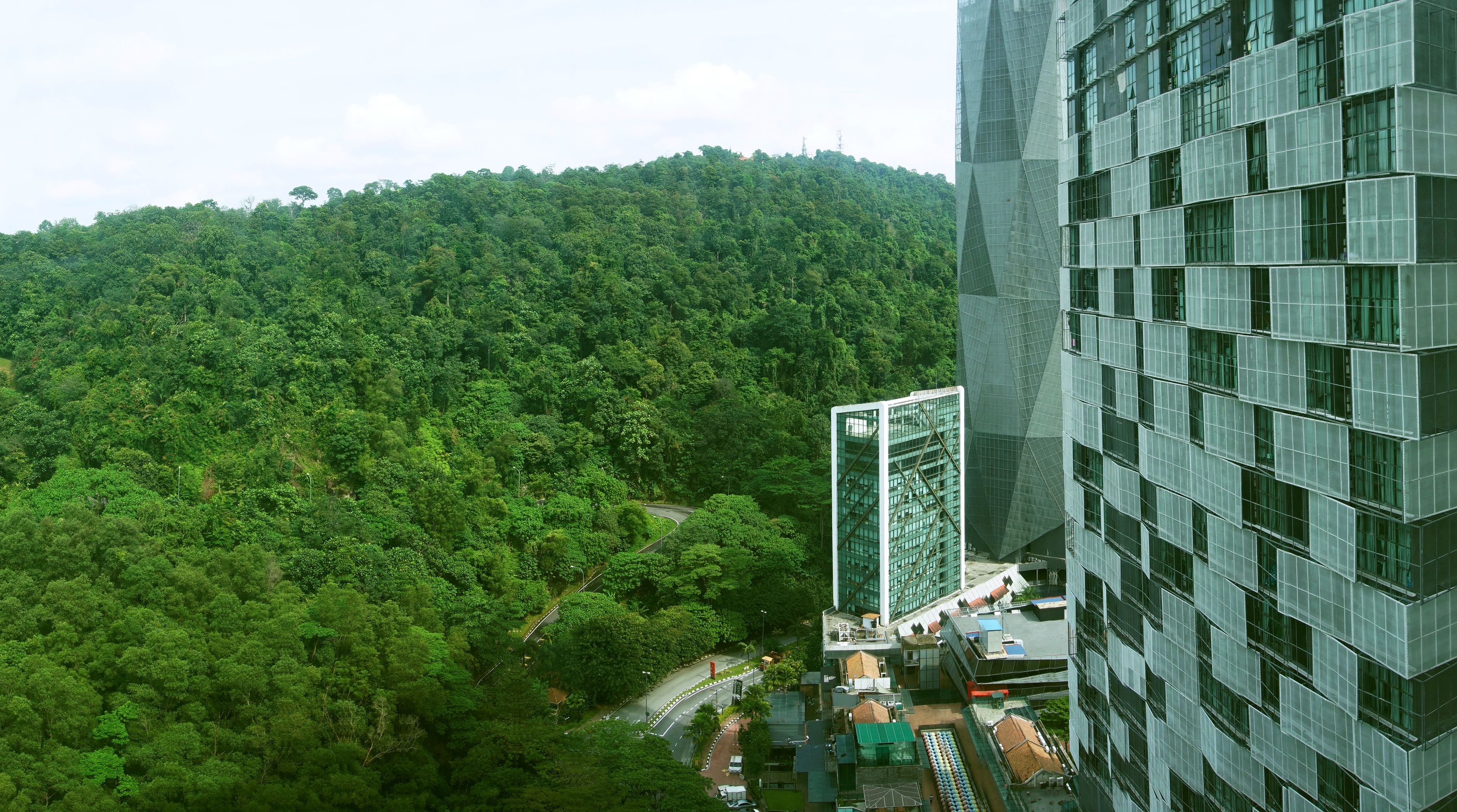 A high-rise building with a modern glass facade, surrounded by dense green forest.