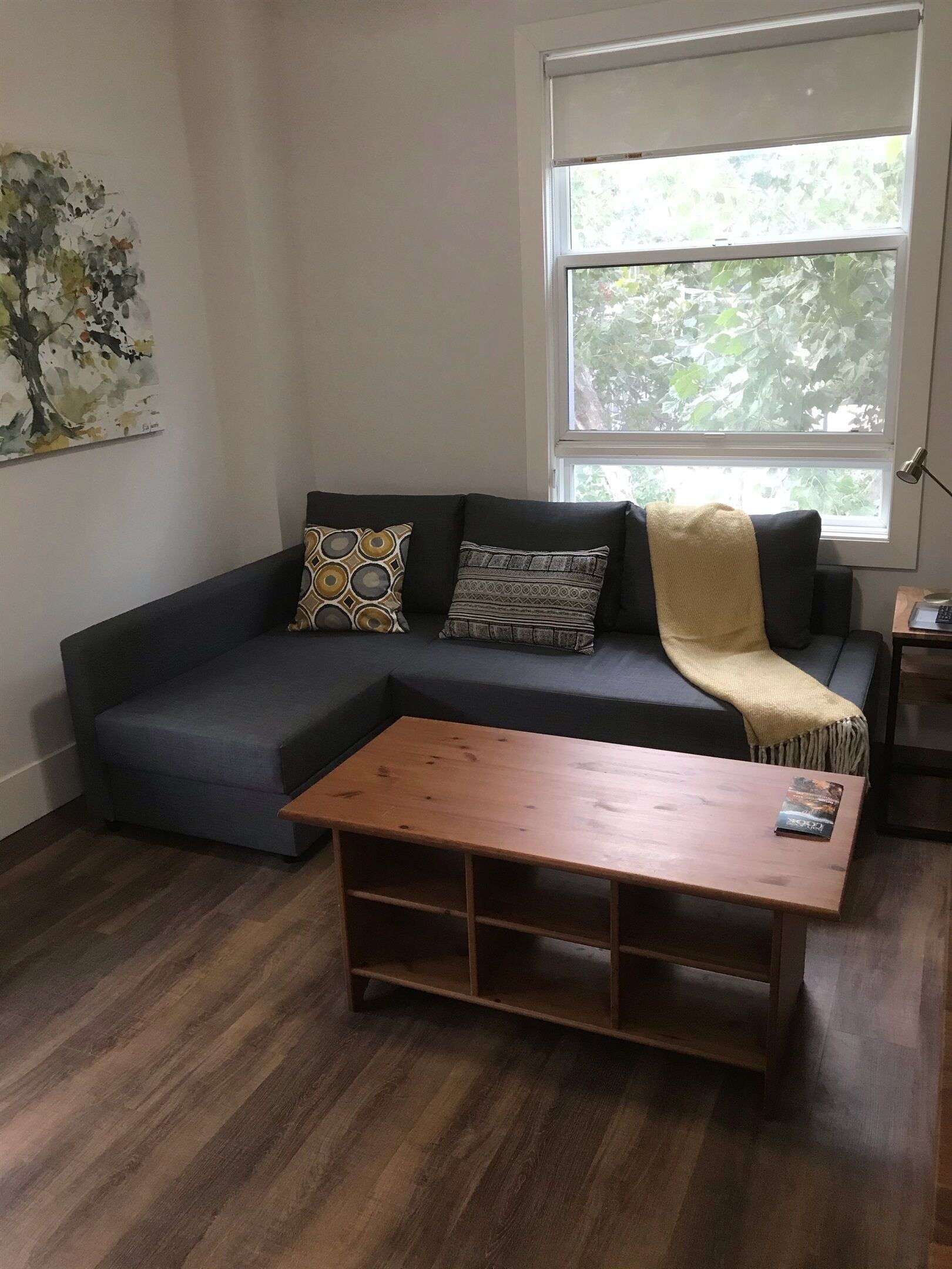 تلفزيون ذكي