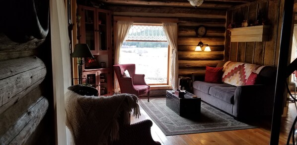 TV, DVD player, books, video library