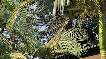 Ngoại thất