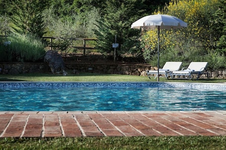 Una piscina al aire libre de temporada, sombrillas