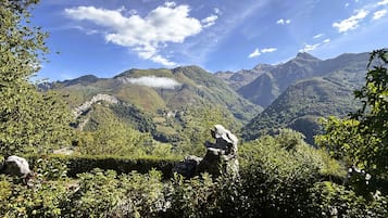 Un paysage montagneux caractérisé par une végétation luxuriante et des affleurements rocheux.