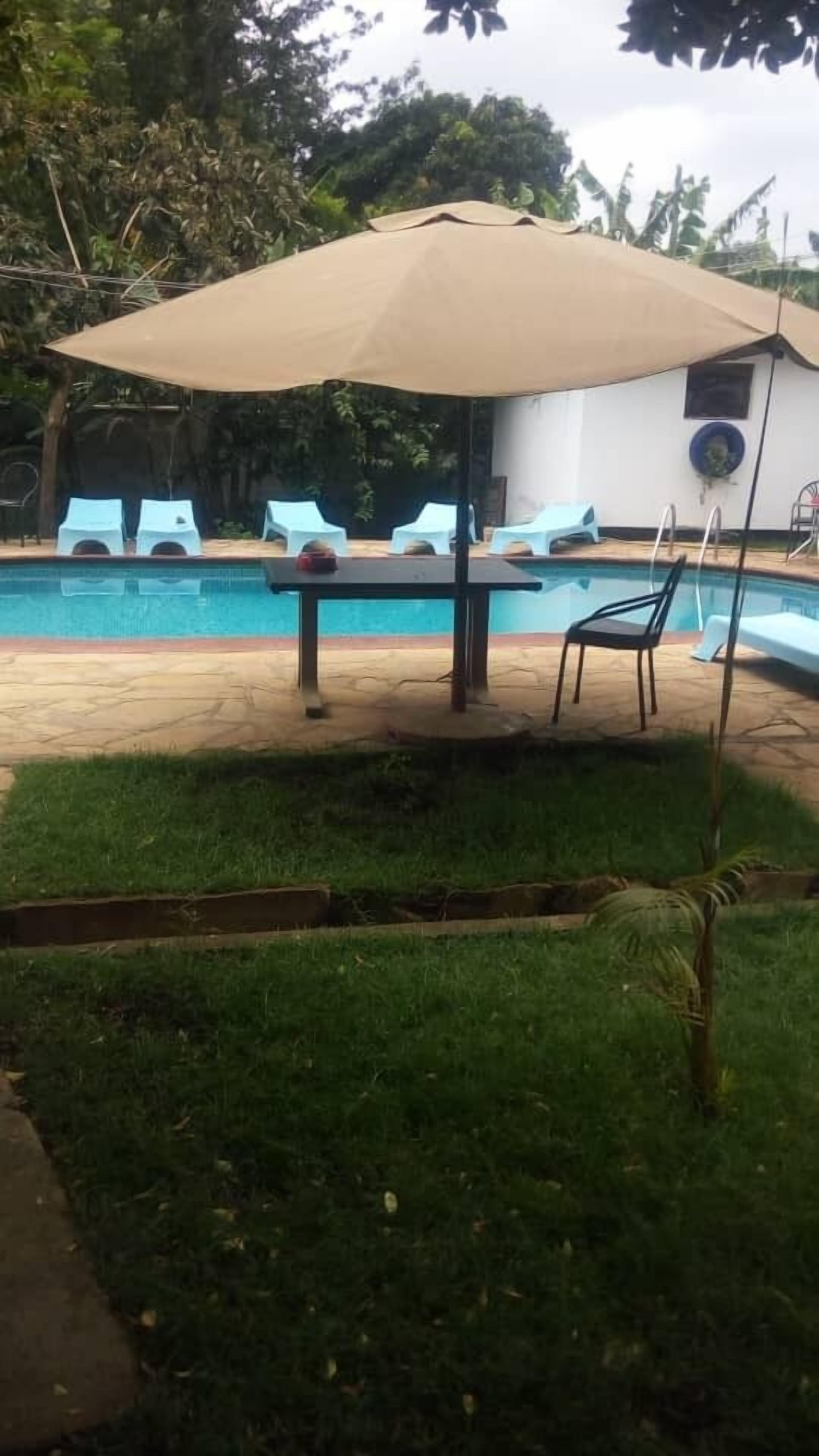 Outdoor pool, pool umbrellas, sun loungers