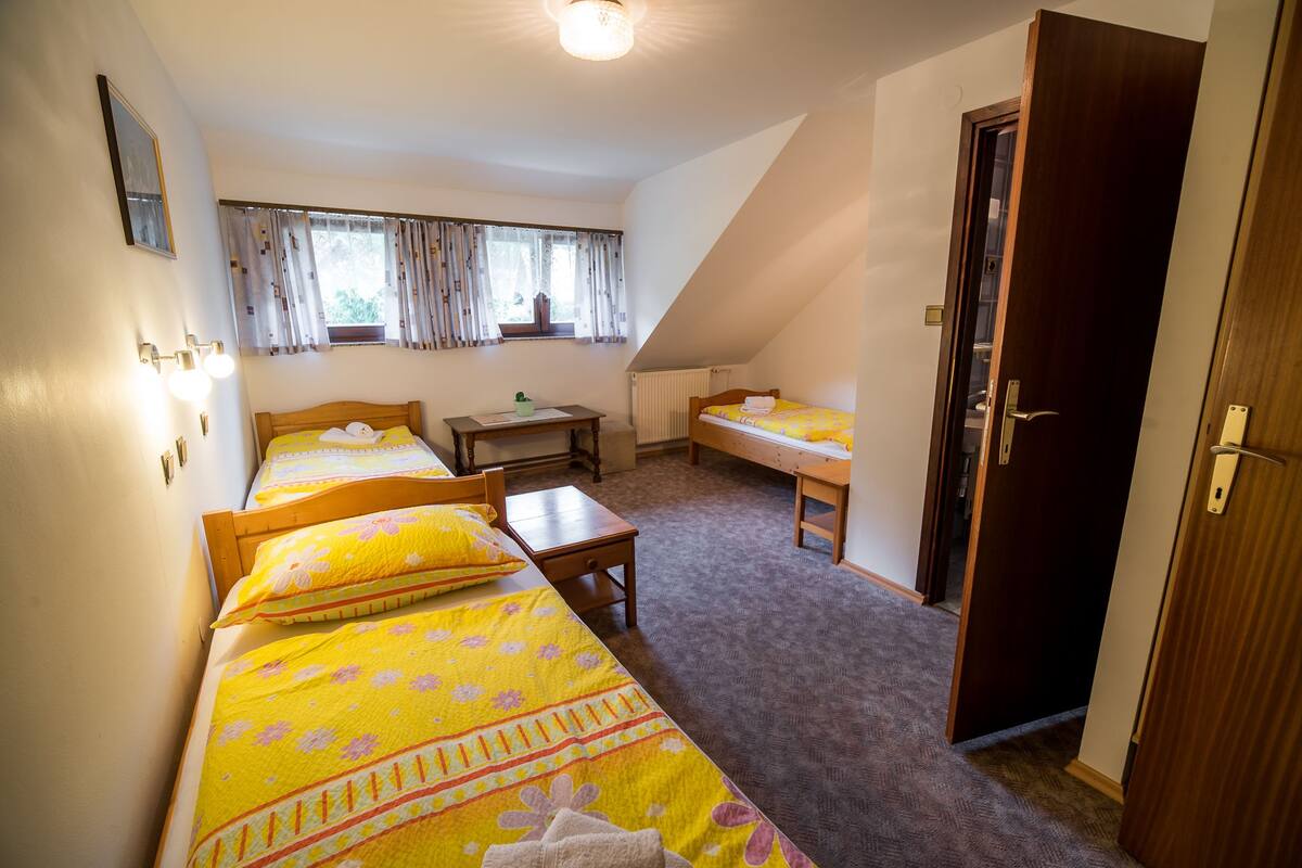 A bedroom with two single beds, a small table, and a window with curtains.