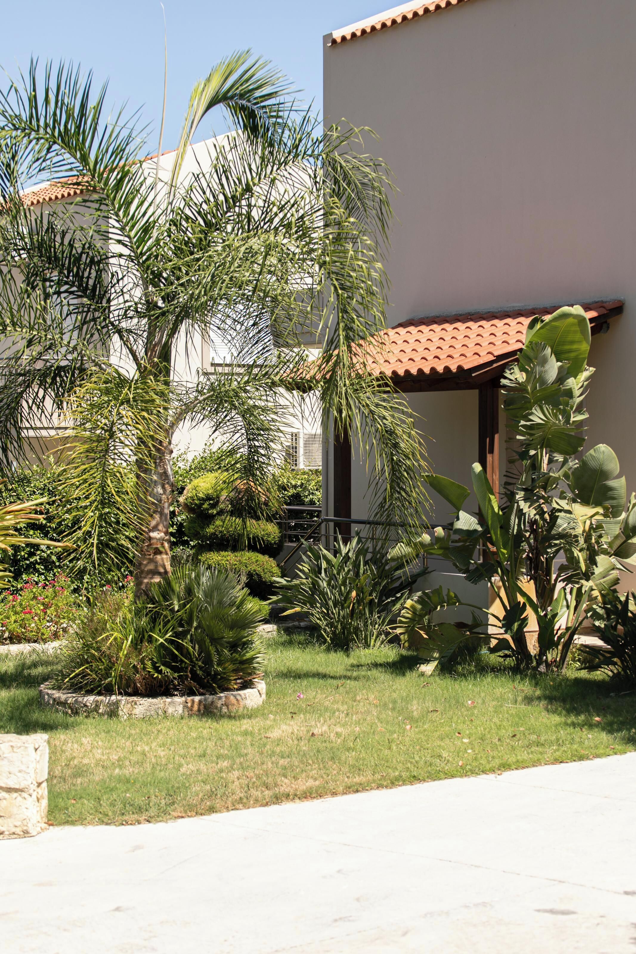 A courtyard with palm trees, a white building with a red-tiled roof, and a stone planter.