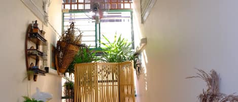 A narrow hallway with a bed, a table with a radio, and various plants.