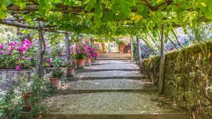 A stone pathway leading through a garden with potted plants and a pergola covered with grapevines. - Verdidea - PALAZZO DELLE ROSE (Monterchi)