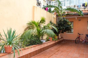 Garden - Hostal Baler (Barcelona)