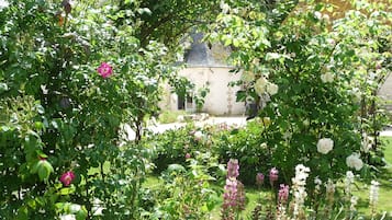 Jardin