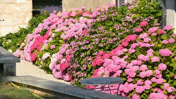 A garden with pink flowers and a stone bench.