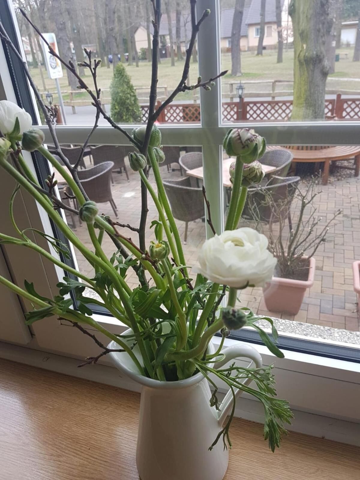 A white vase with green stems and white flowers on a windowsill.