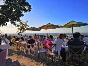 Outdoor banquet area - 700 Enolocanda (Santa Giuletta)