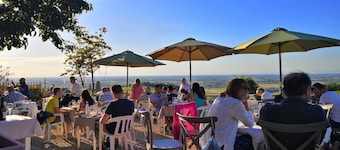 700 Enolocanda