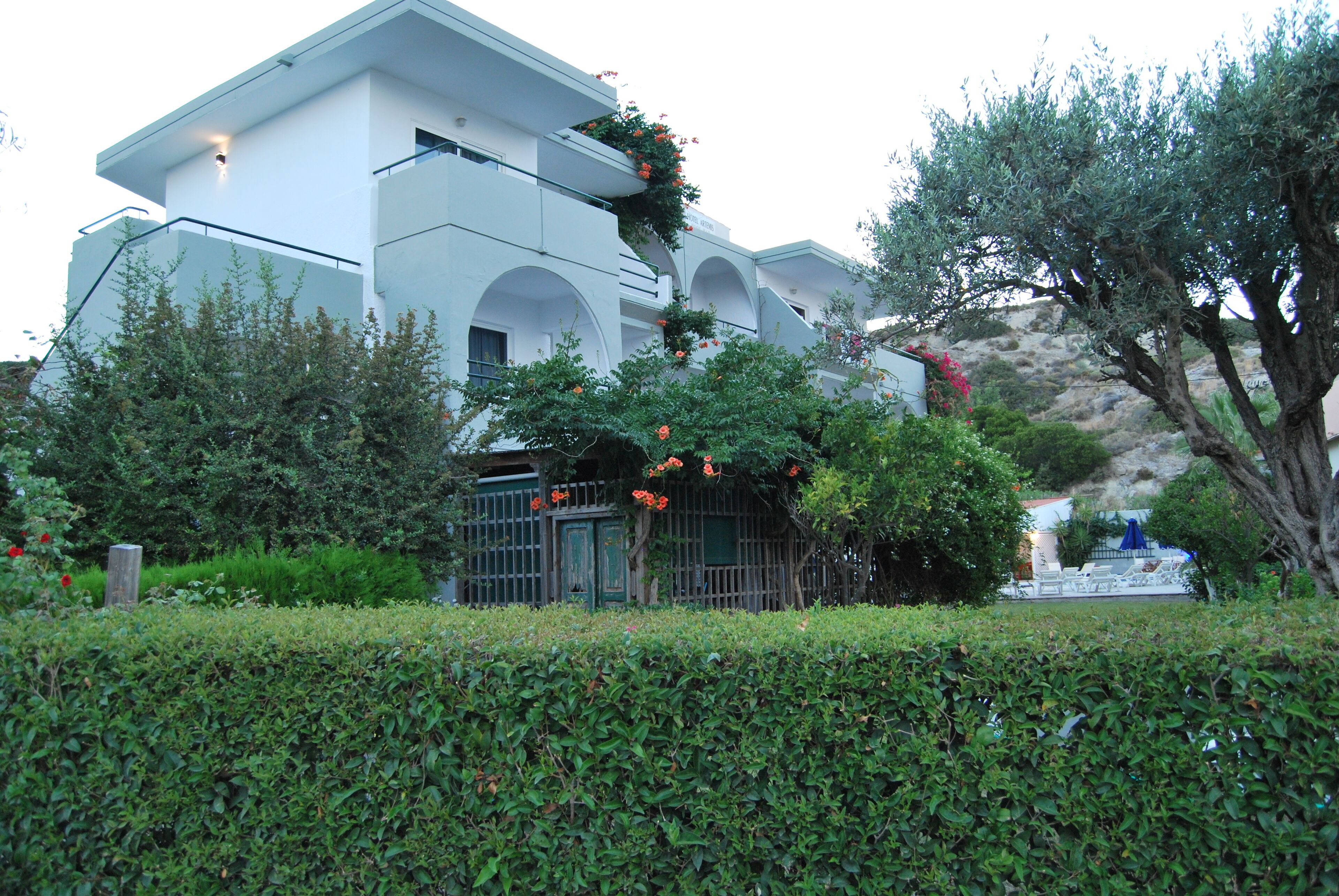 Photo - Artemis Studios