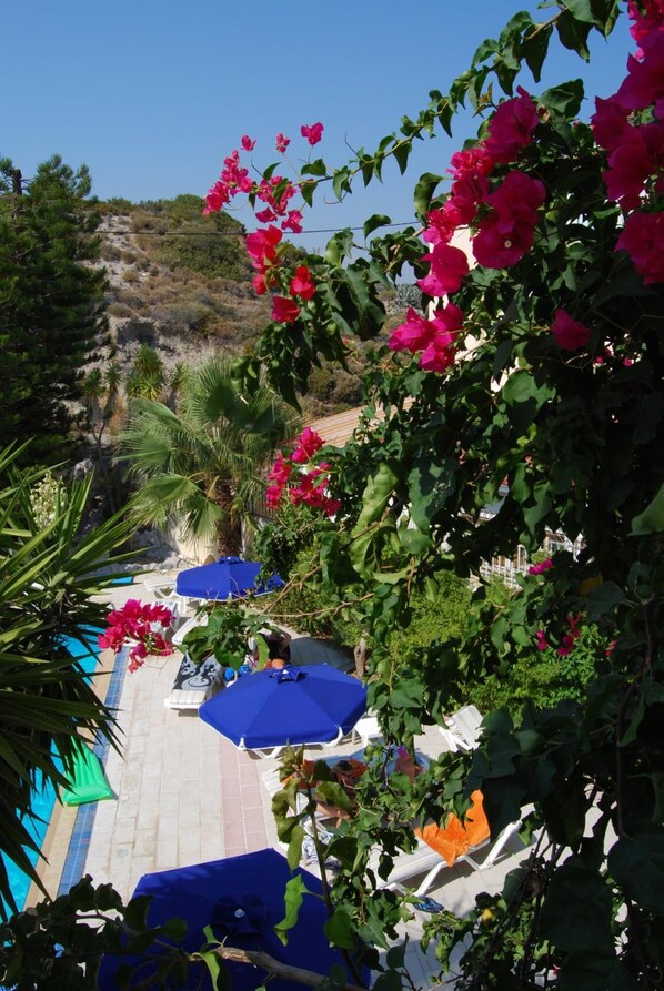 Property grounds - Artemis Studios (Rhodes)