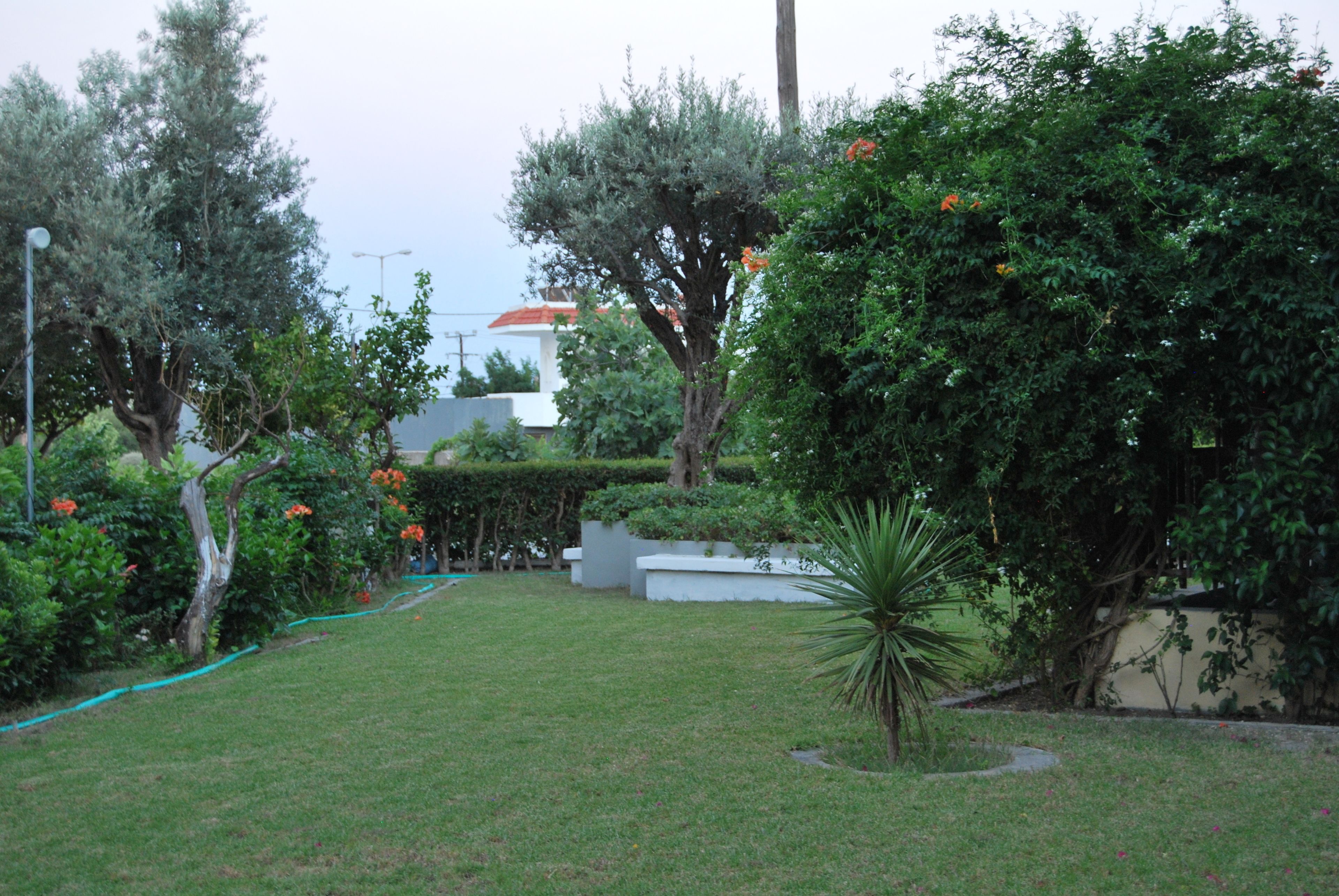 Photo - Artemis Studios