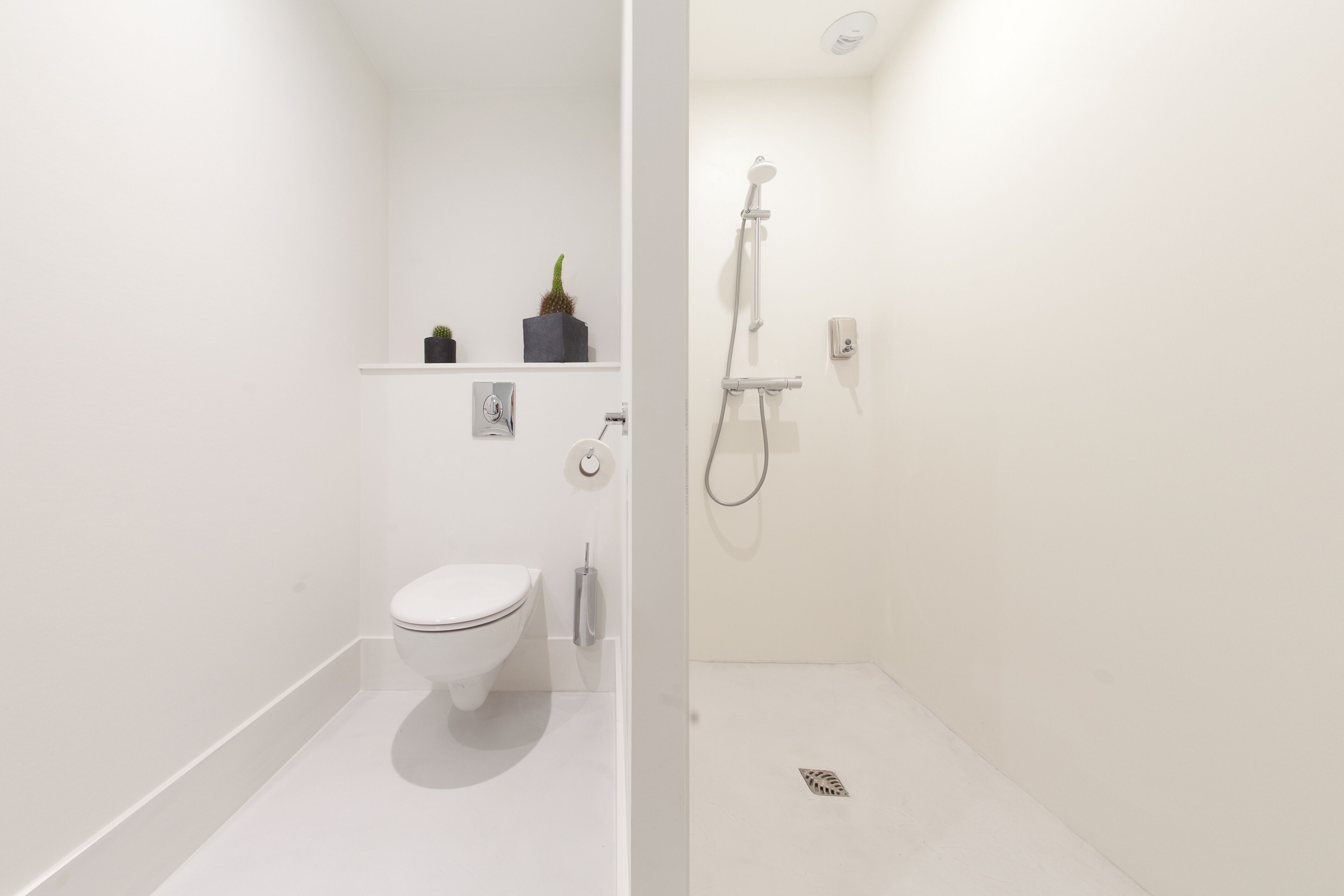 A modern bathroom with a toilet, a shower, and a small shelf with plants.