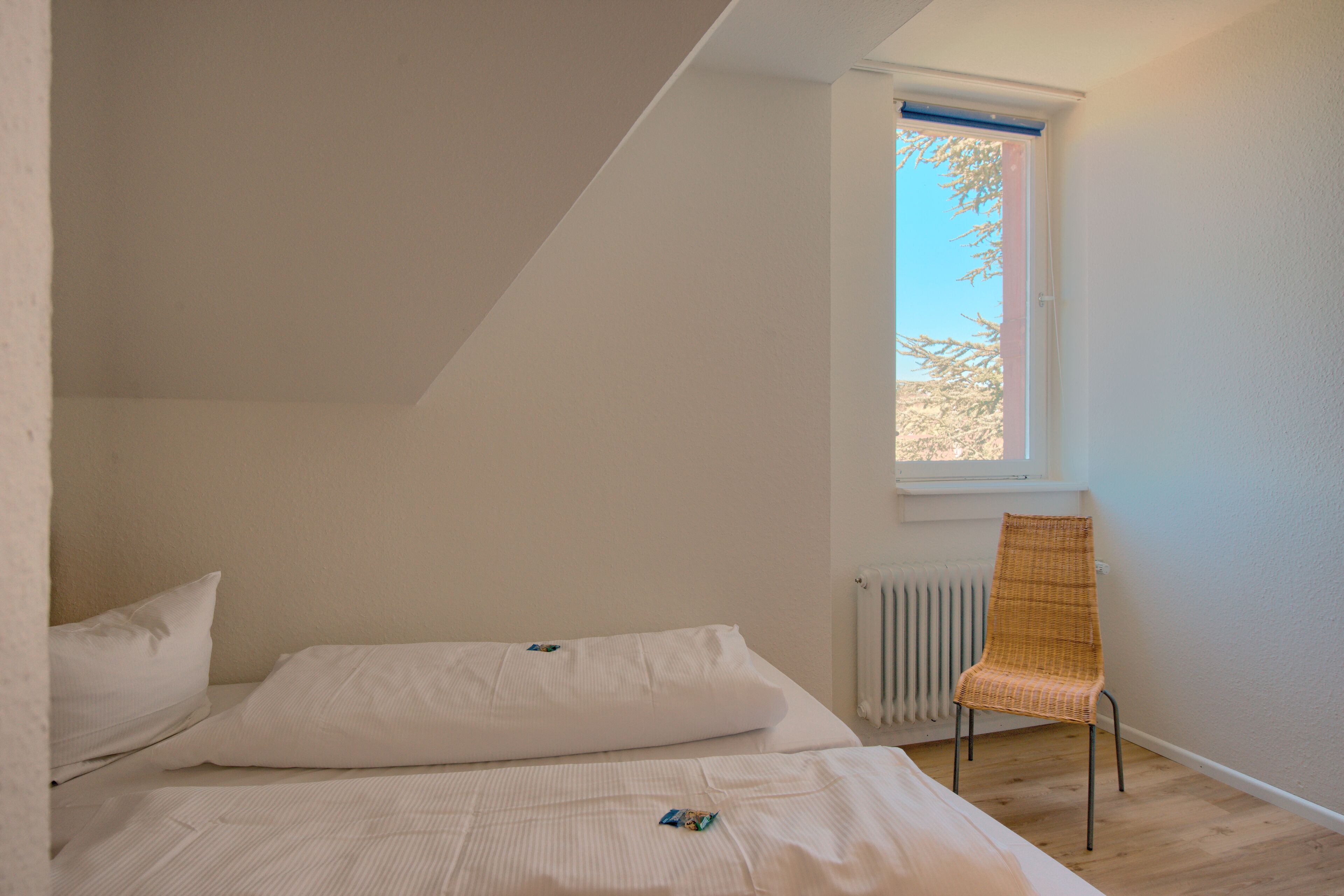 classic double or twin room | view from room