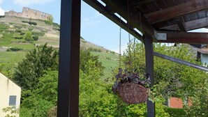 Ein Balkon mit einer hängenden Pflanzampel, Blick auf einen Hügel mit Ruinen und ein Haus im Hintergrund.