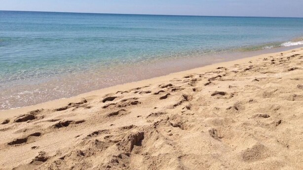 Une plage de sable où l’on peut voir des empreintes menant à l’eau.