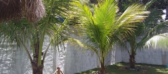 Flat Toque dos Milagres