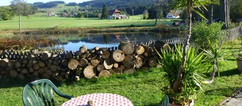 Gasthaus Backhof-Helmle 