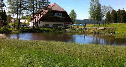 Gasthaus Backhof-Helmle
