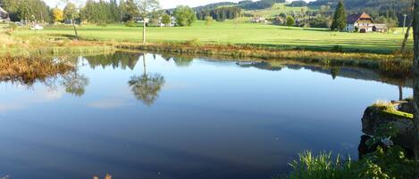 A tranquil pond with a clear reflection, surrounded by lush greenery and a distant view of a golf course and houses.
