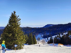 A ski resort with a clear view of the mountain, ski slopes, and a ski lift. - Gasthaus Backhof-Helmle  (Breitnau)