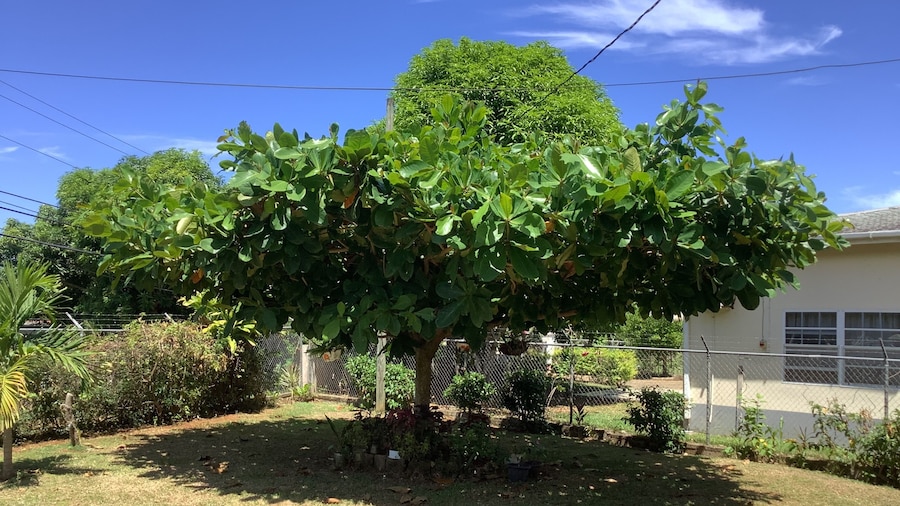 ritashomeawayfromhome