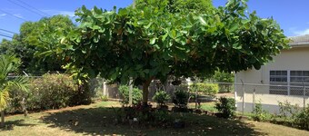 ritashomeawayfromhome