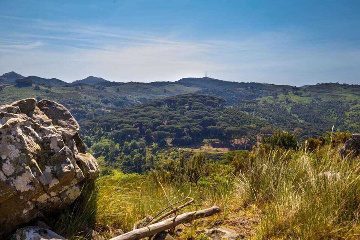 Paisagem montanhosa com terreno rochoso e vegetação densa.