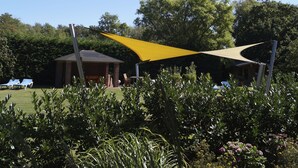 A gazebo with a yellow canopy, surrounded by lush greenery and a clear blue sky. - Strandleben Fehmarn - Ferienwohnung Nord (Fehmarn)