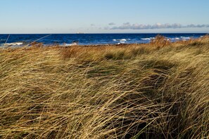 A coastal landscape with tall grasses and the ocean in the background. - Strandleben Fehmarn - Ferienwohnung Ost (Fehmarn)