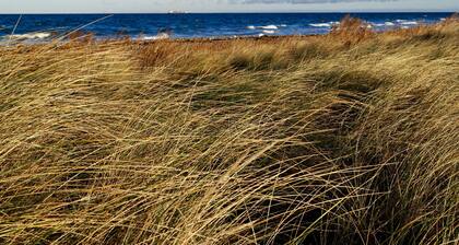 Strandleben Fehmarn - Ferienwohnung Ost