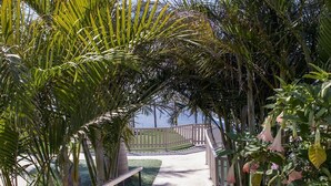 A pathway with a wooden railing, surrounded by lush greenery and flowering plants. - Side sea view, HEATED POOL, Heating, Wide terrace, Free wifi (7) (La Matanza de Acentejo)