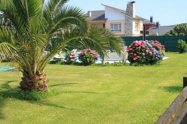 A well-maintained lawn with a palm tree and flowering bushes, a pool, and a house with a stone facade.