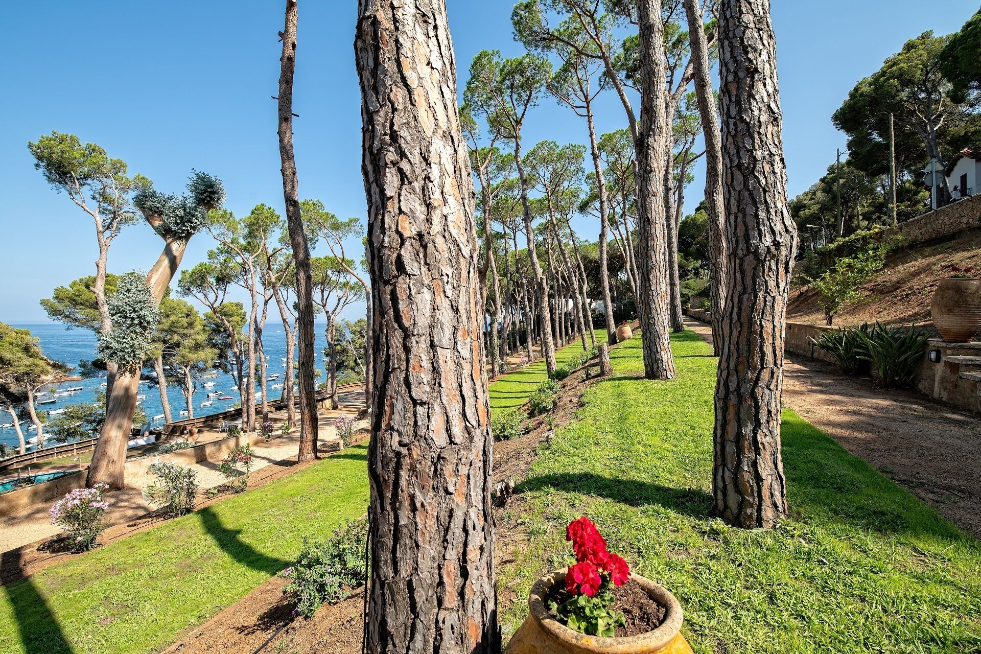 Terrein van de accommodatie