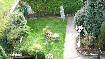 A garden with a paved path, a small pond, and various plants.