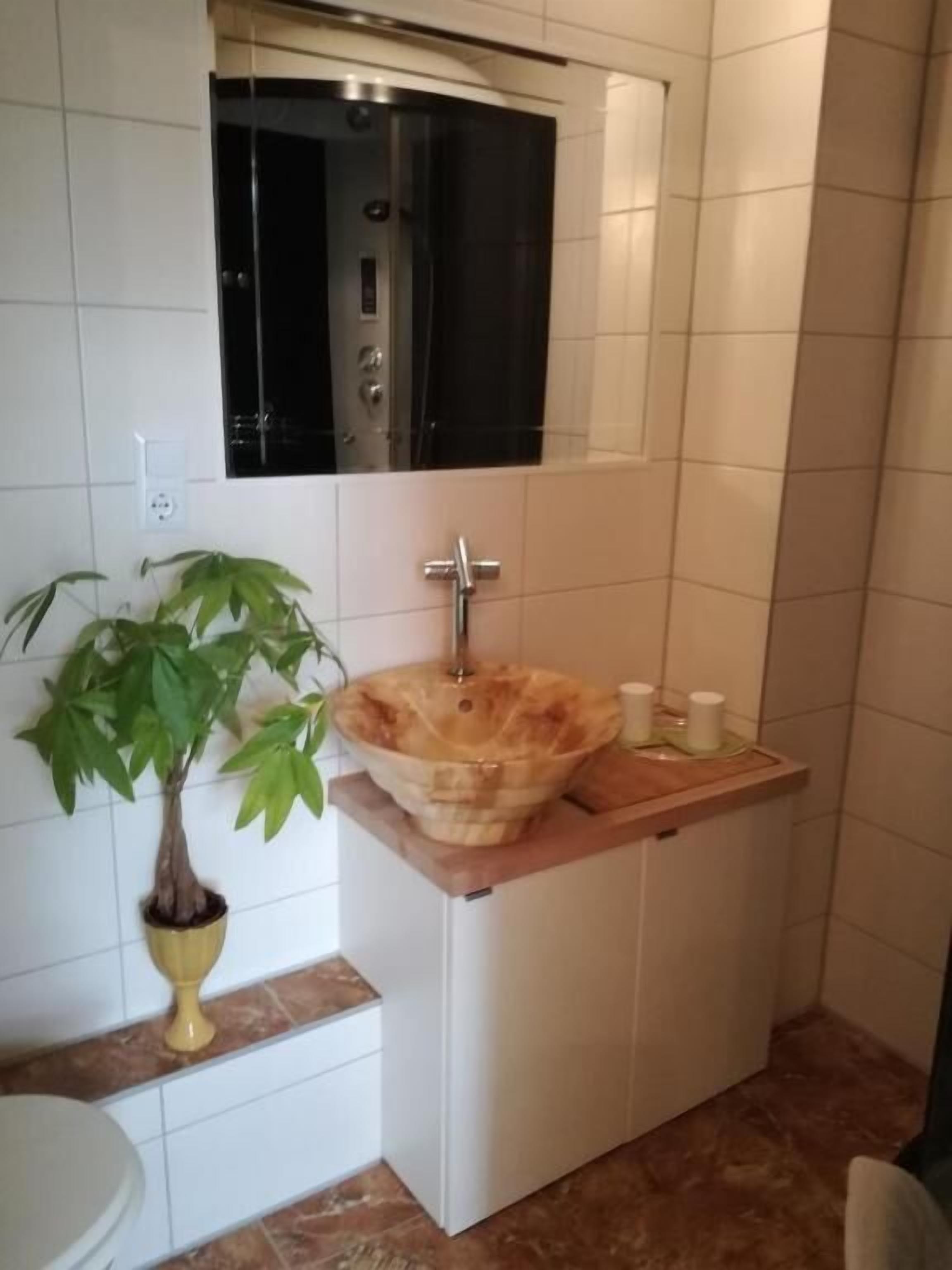 Un baño con pared de azulejos blancos, un lavabo con plato, una planta en maceta y un espejo sobre el lavabo.