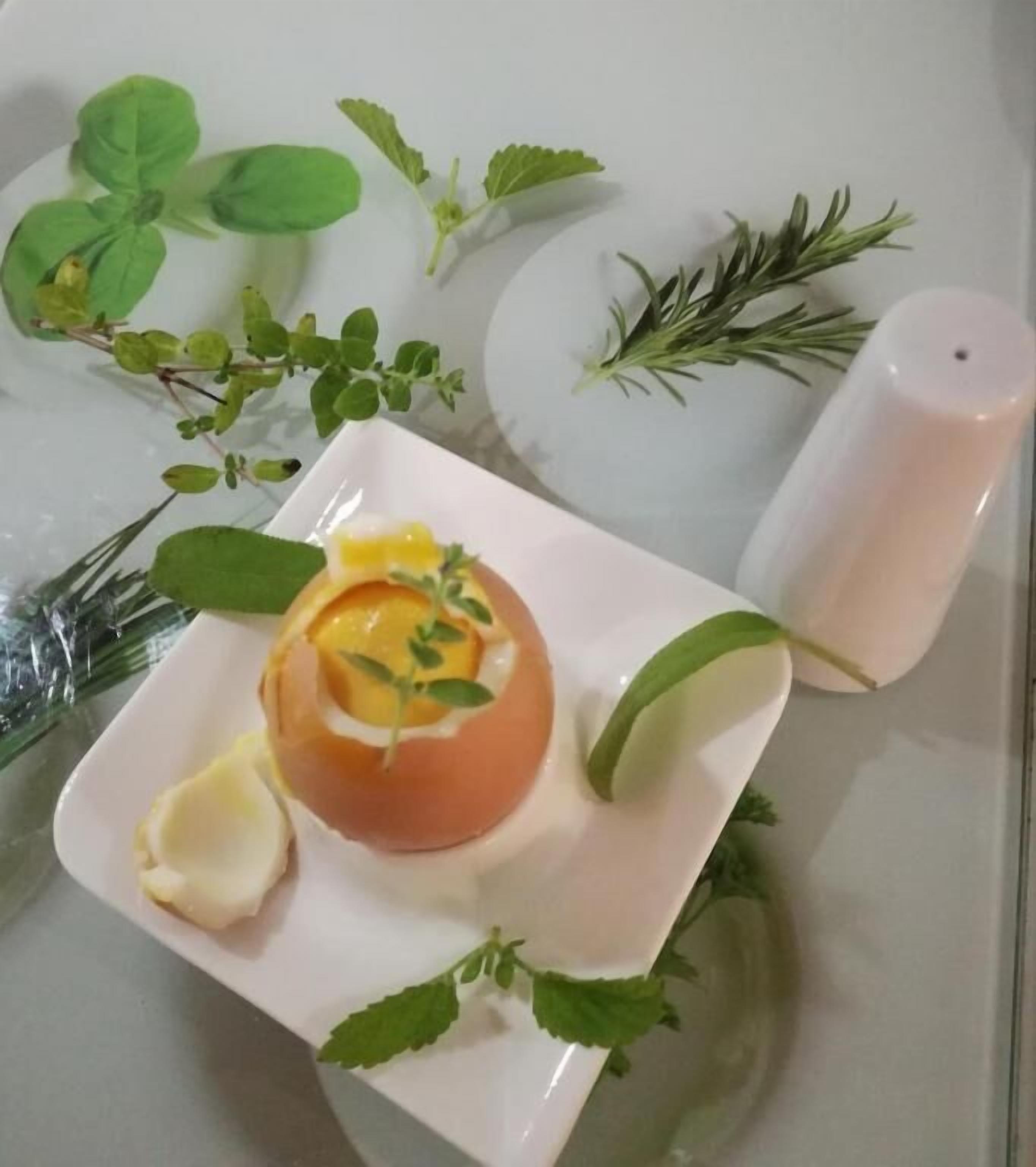Postre en un plato blanco con un gajo de lima y hojas de menta, rodeado de follaje y un salero.
