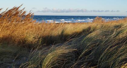 Strandleben Fehmarn - Ferienhaus 1