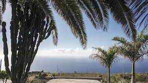Una strada costiera con palme e vista sull'oceano.